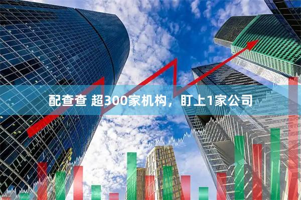 配查查 超300家机构，盯上1家公司